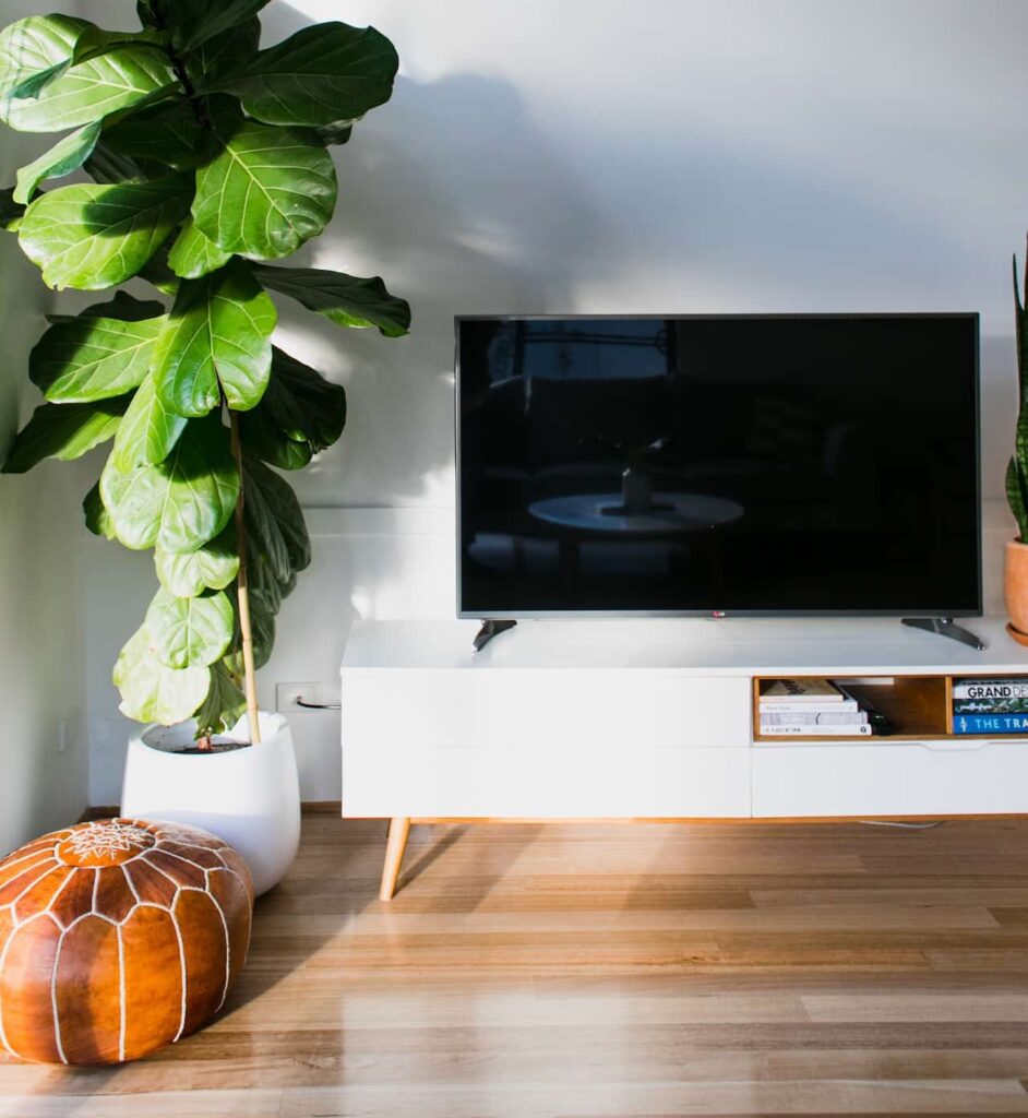 pexels rachel claire 5490302 e1725927462173